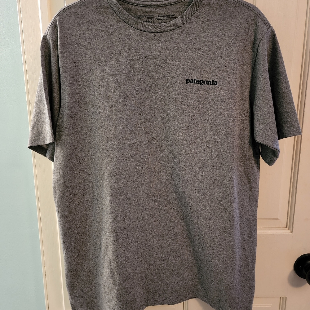 Patagonia Tee